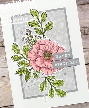 Birthday Card Organizer Kit & Cottage Rose Bundle Stampin' Up! Stamping  with DonnaG! 